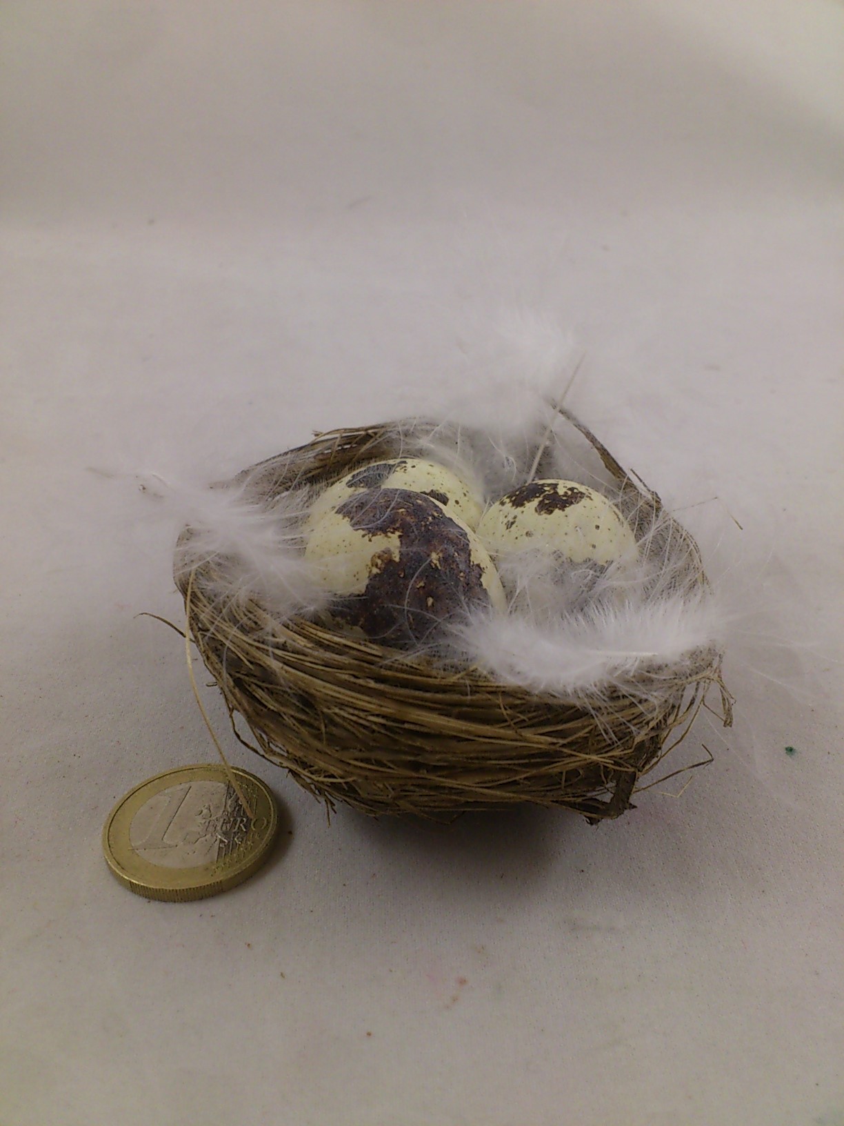 Nest met 3 kwarteleitjes en veren